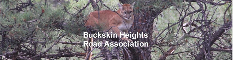 Buckskin Heights Road Association