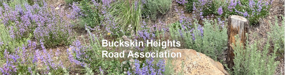 Buckskin Heights Road Association